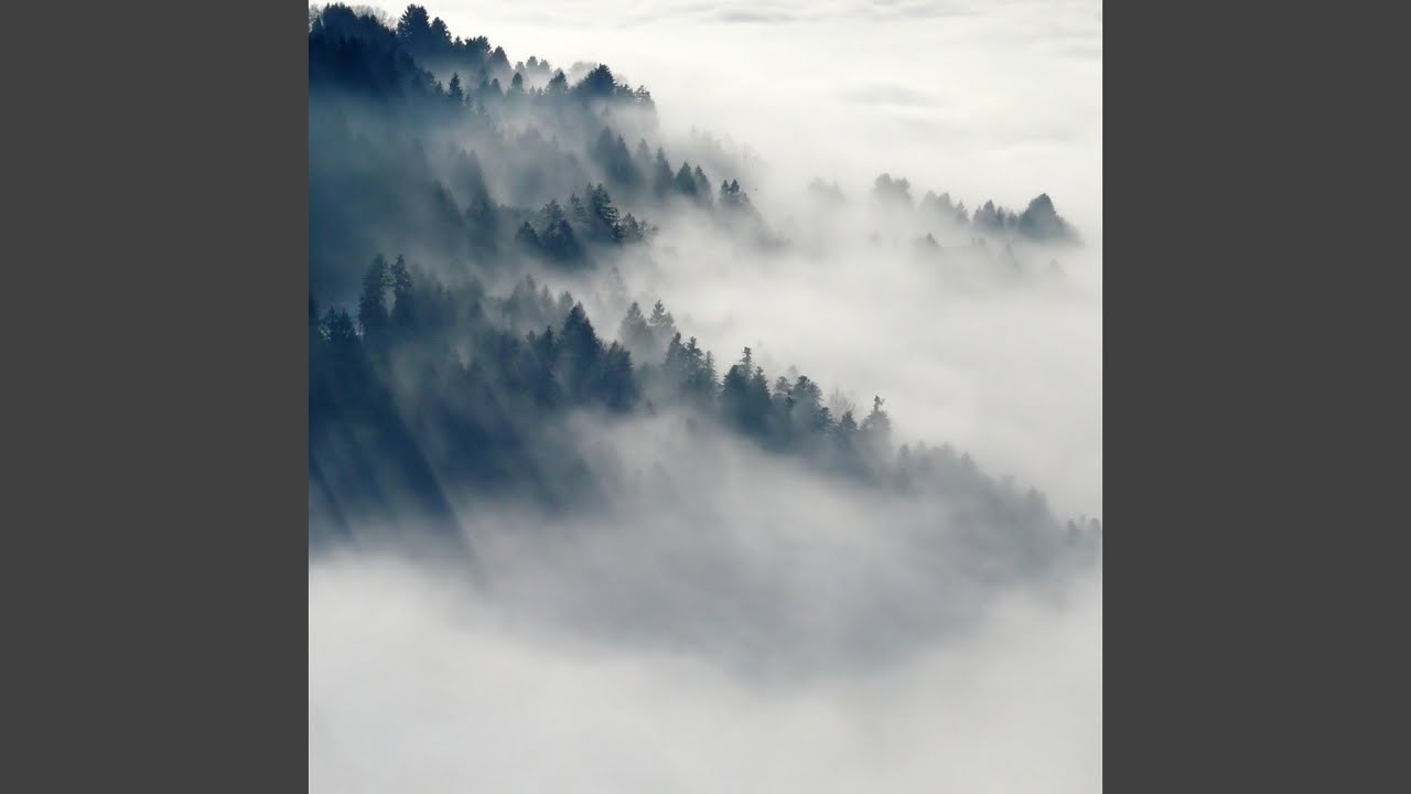 Wenn Der Nebel Sich Lichtet