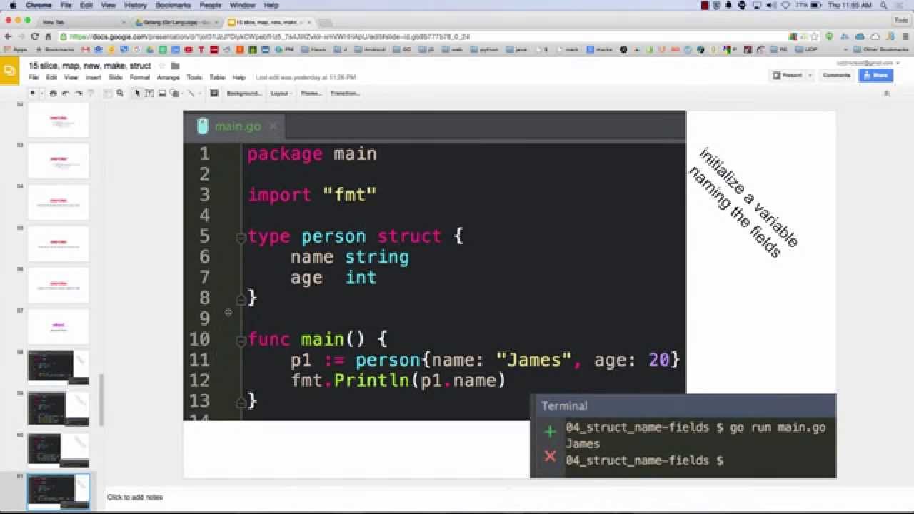 golang structs