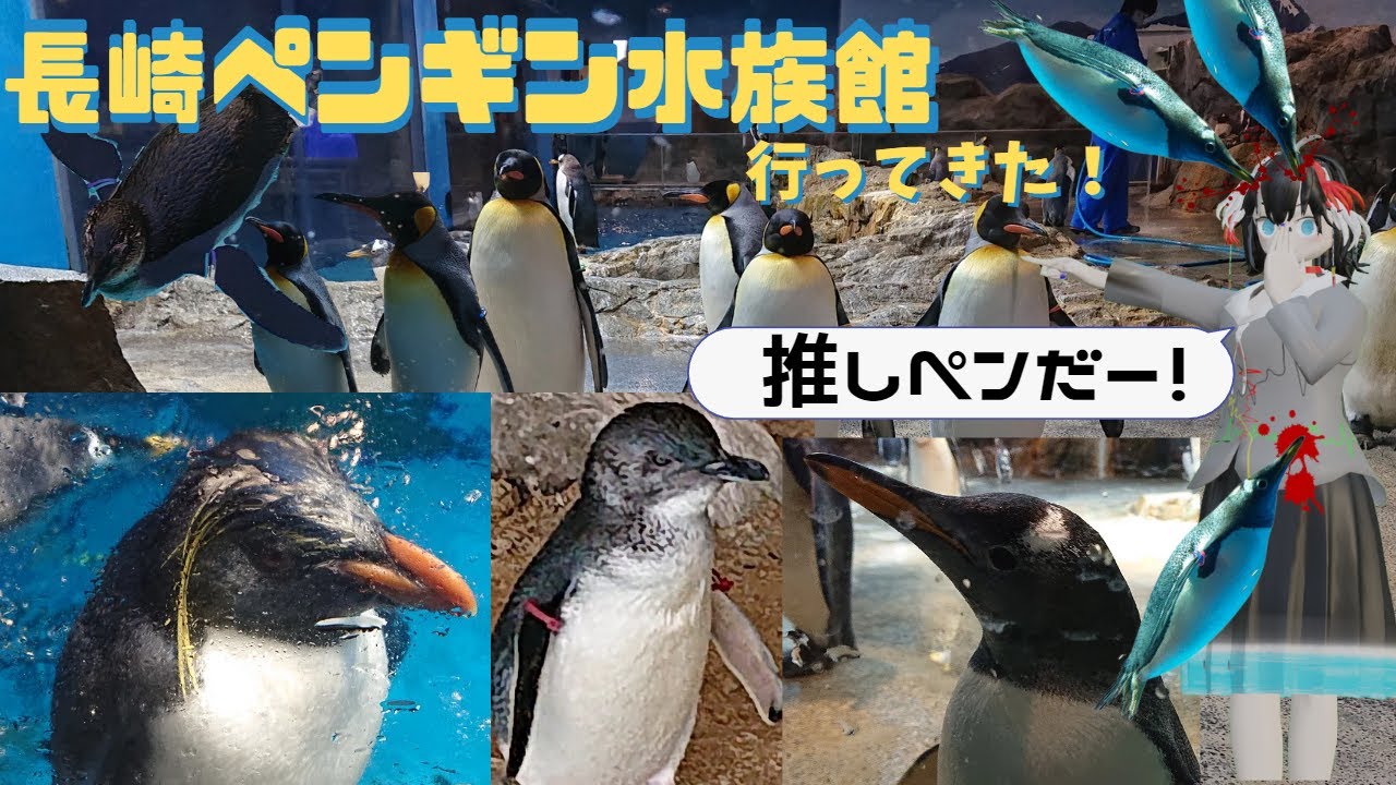長崎ペンギン水族館行ってきました！！！