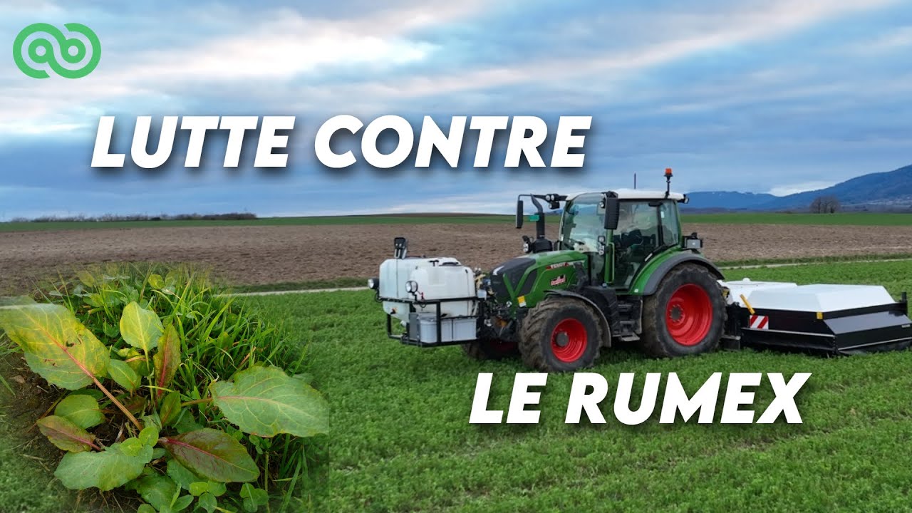 TRAITEMENT LOCALISÉ SUR LUZERNE 🌿 / 