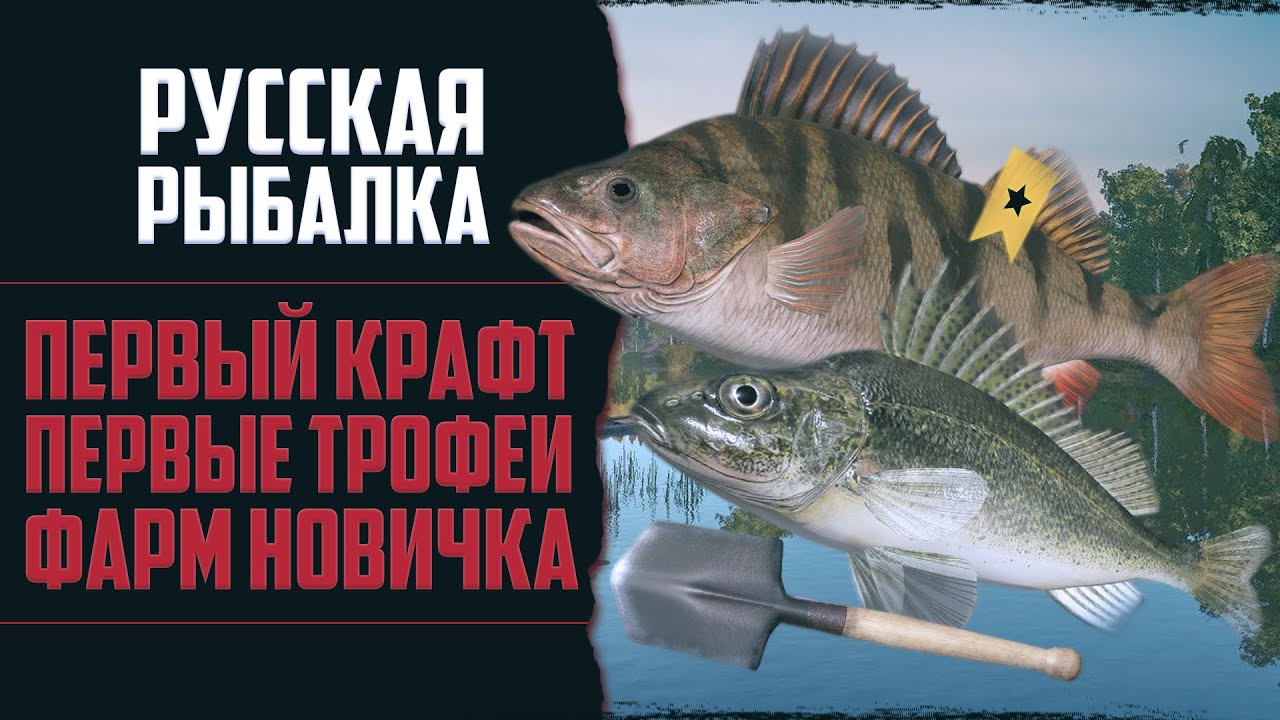 Новый Путь в РР4 #2 🔴 Поймал Первые Трофеи | Быстрый Фарм | Первый Крафт