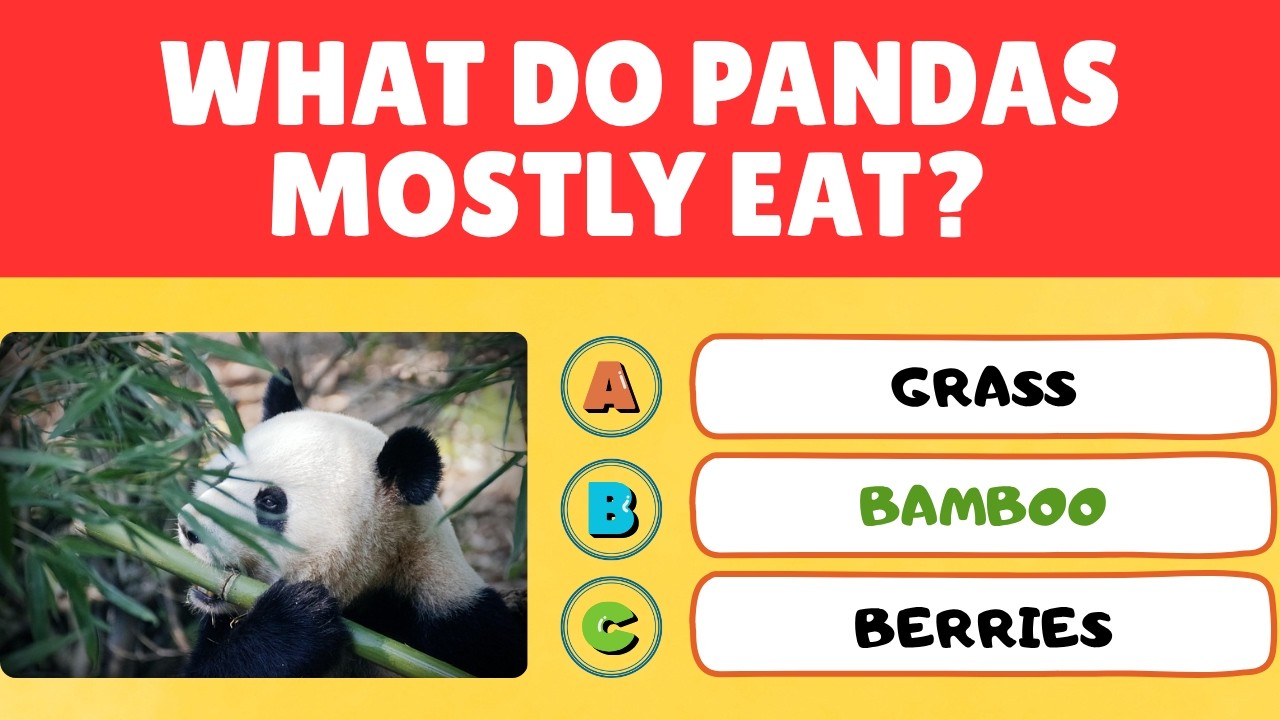How Many Animal Facts Do YOU Know? 🧠🐾| Test Your Animal Knowledge! 🐬#roadto500subs