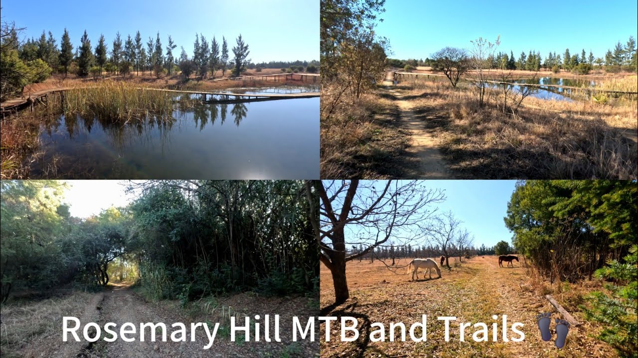 Rosemary Hill MTB and Trails Vlog 🇿🇦 #hiking #outdoors #southafrica #nature #virtualwalk