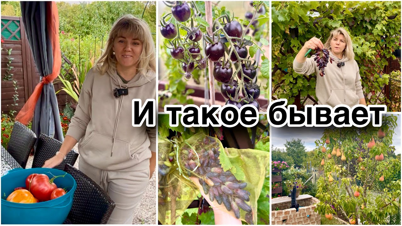 Всё Пошло Не По Плану / Обиделась И Ушла / Дачный Влог 