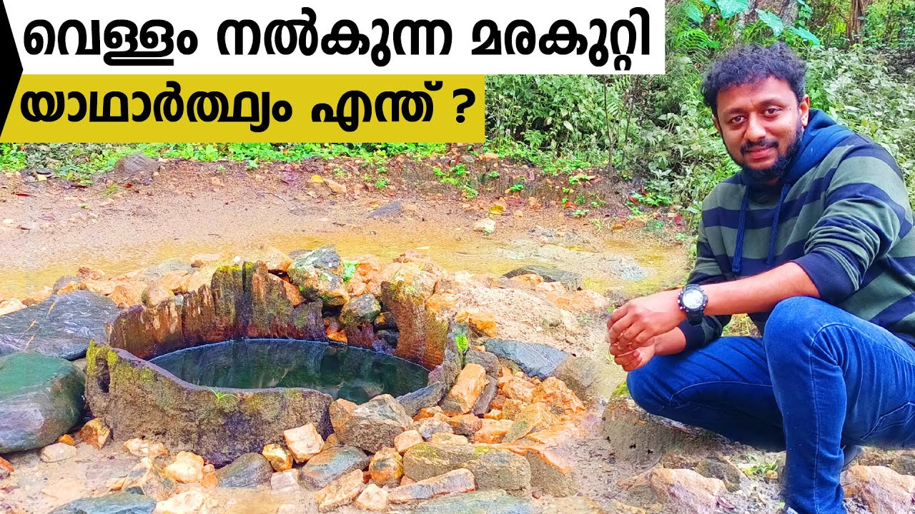 വെള്ളം നൽകുന്ന മരകുറ്റി / യാഥാർത്ഥ്യം എന്ത് ? Tricks Episode : 169