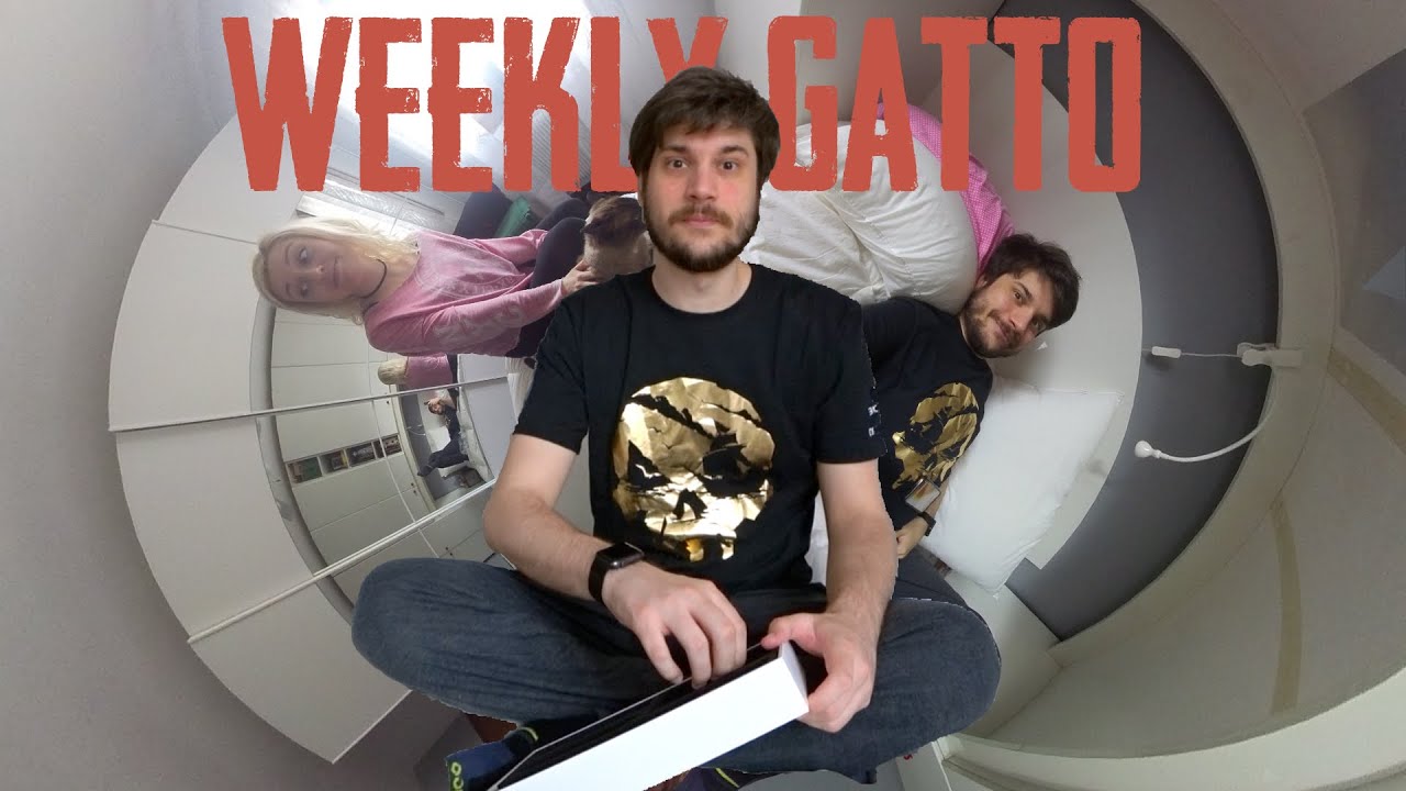 Weekly Cat - Easter & News