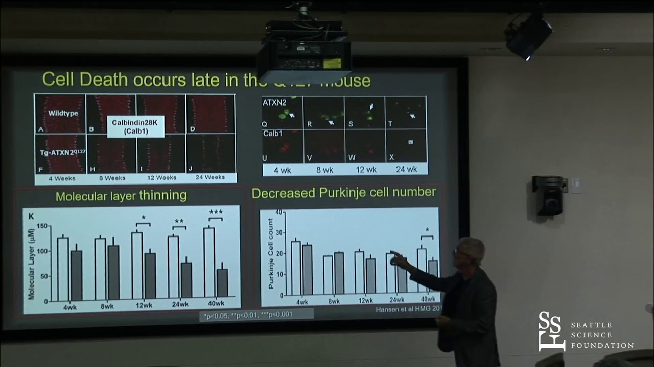 Antisense Oligonucleotide - Therapy Update - Stefan-M. Pulst, MD