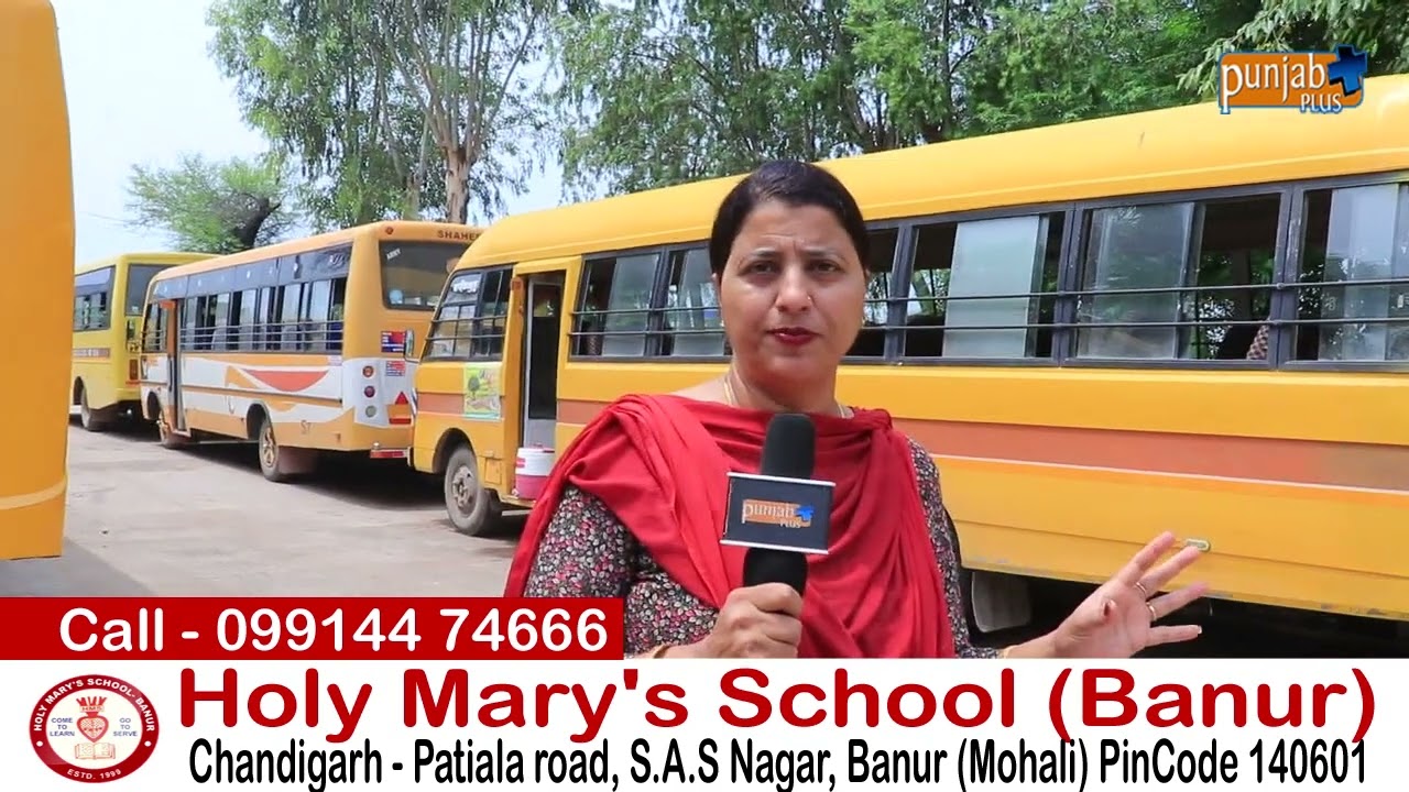 Holy Mary's School (Banur)