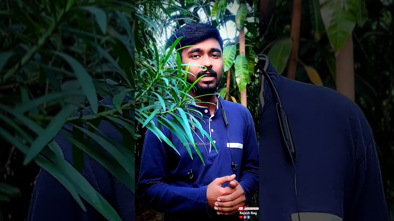Opoman সহ্য করছো? আগে জানো মানুষ কেন অপমান করে! #Shorts #Emotional #SelfRespect #LifeAdvice