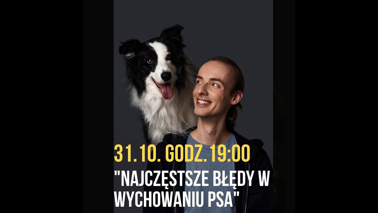 Najczęstrze błędy popełniane w wychowaniu psa! Sprawdź czy je popełniasz!