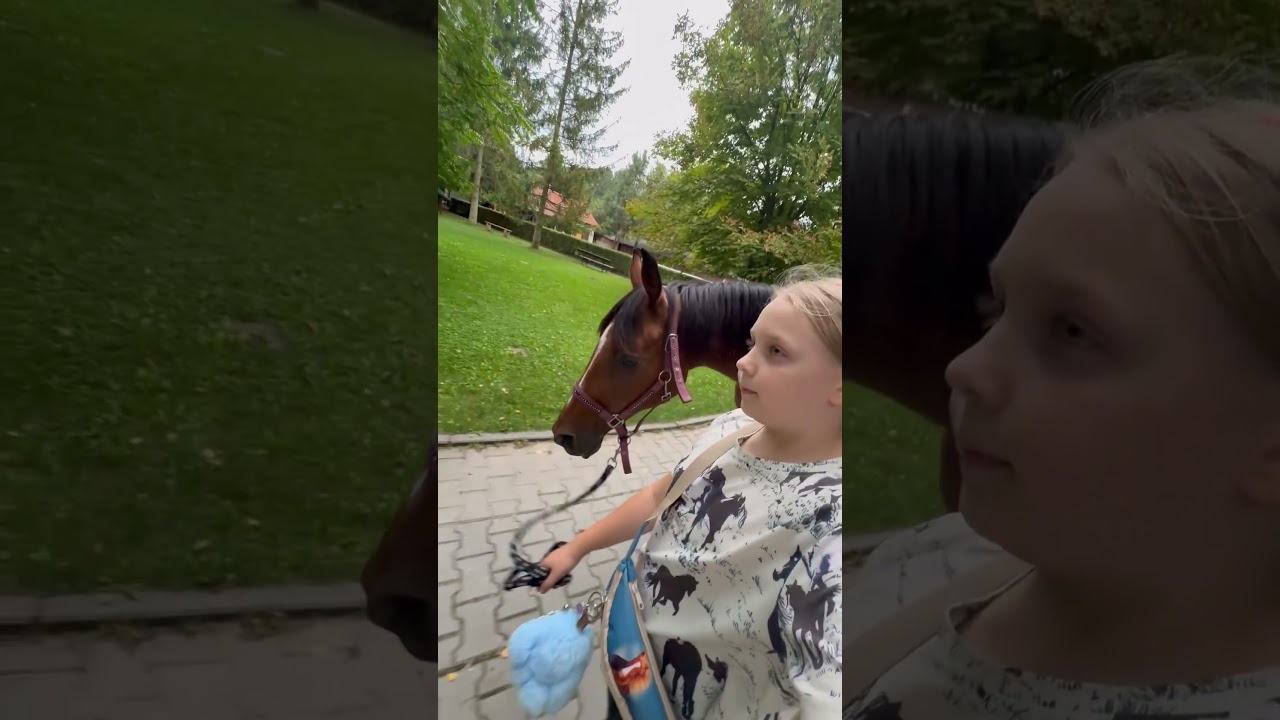 Wyprowadzam na spacer Jennego💋🫶💖 #horse#music#follow#like#riding#subscribe#shorts