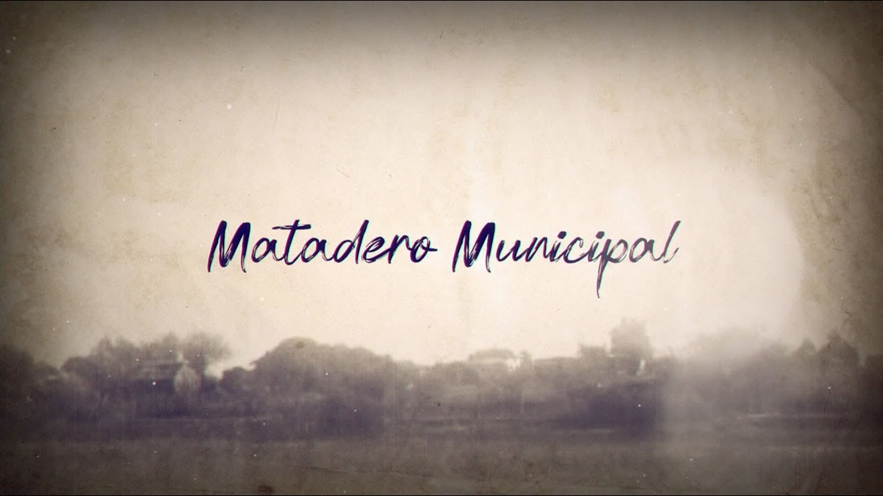 Matadero Municipal. Historias de trabajo y producción para el abasto local
