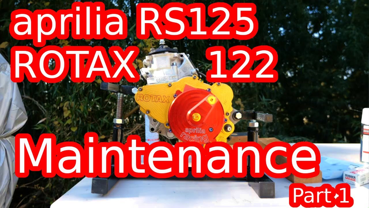 aprilia RS125 ROTAX 122 Maintenance Part 1