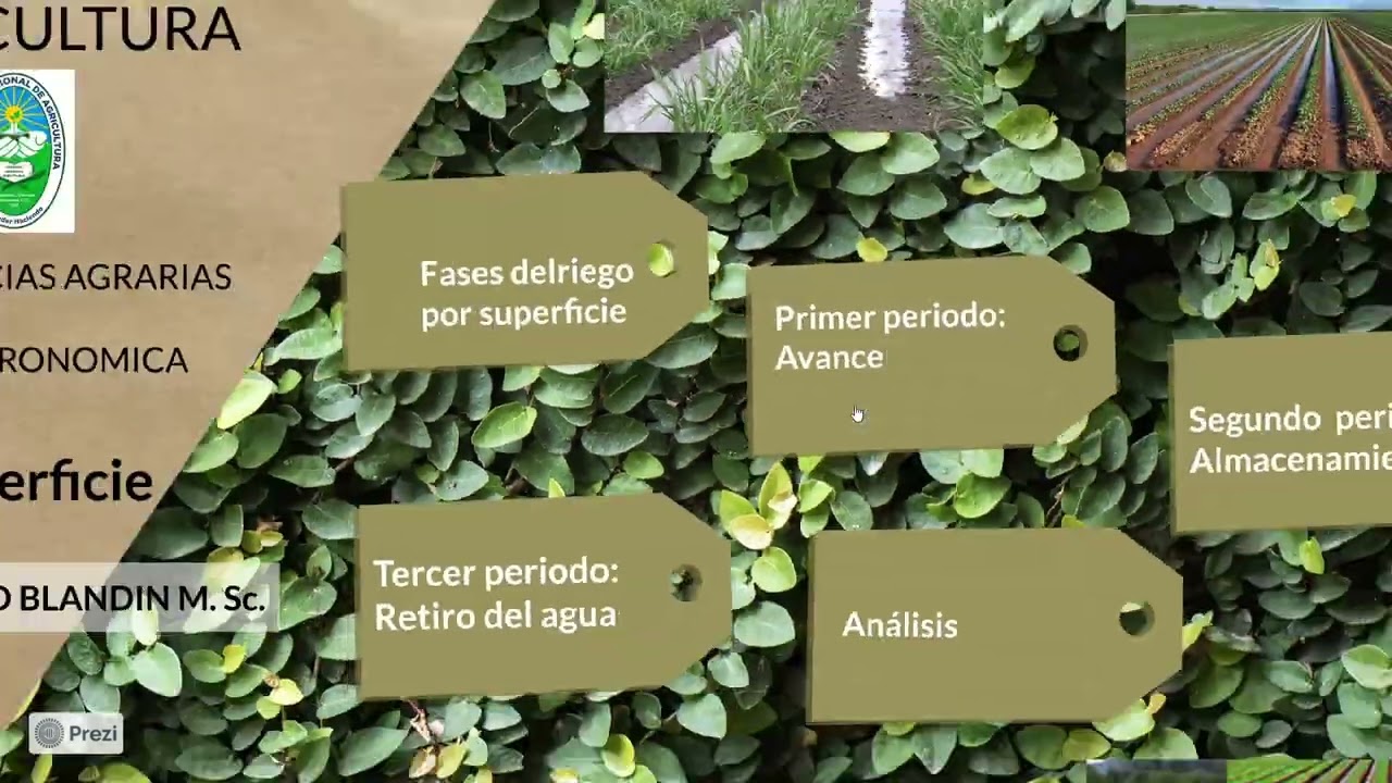 Riego por superficie Parte 2. Análisis de las fases