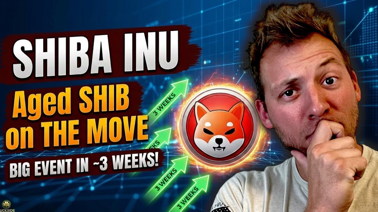 SHIBA INU &mdash; ЭТО ЖДЕТ НАС через ~3 НЕДЕЛИ! Древний SHIB пришел в движение? Что это значит?!