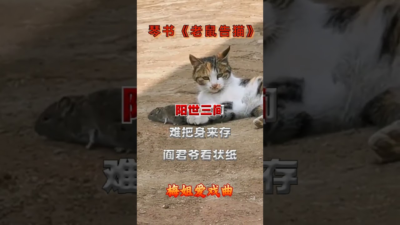 #琴书老鼠告猫#分享给大家谢谢支持和