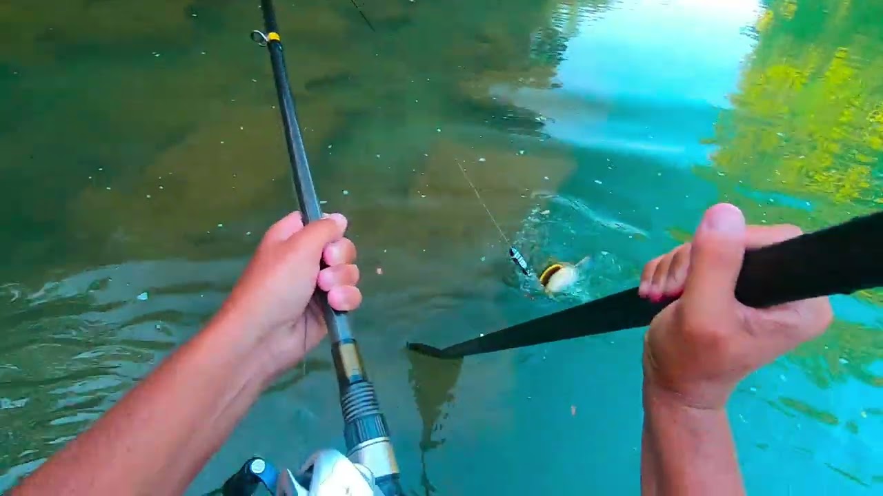 LE PADDLE , un SUPER MOYEN de DECOUVRIR des RIVIERES SAUVAGES !! J'y prend des SILURES en SURFACE !!