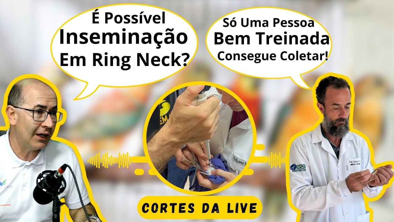 &Eacute; POSS&Iacute;VEL INSEMINA&Ccedil;&Atilde;O ARTIFICIAL EM PSITAC&Iacute;DEOS?