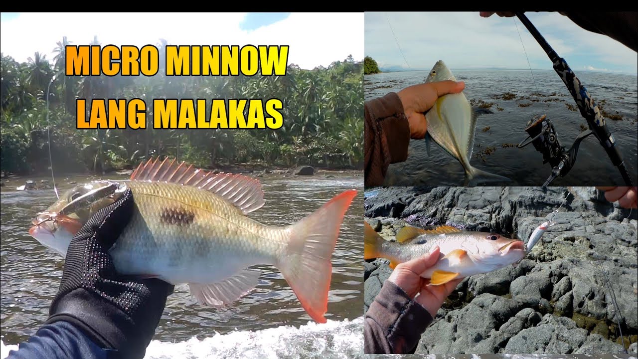 Medium light fishing in the Philippines-trevally,spotted, emperor. #fishing #mediumfishing #fishing