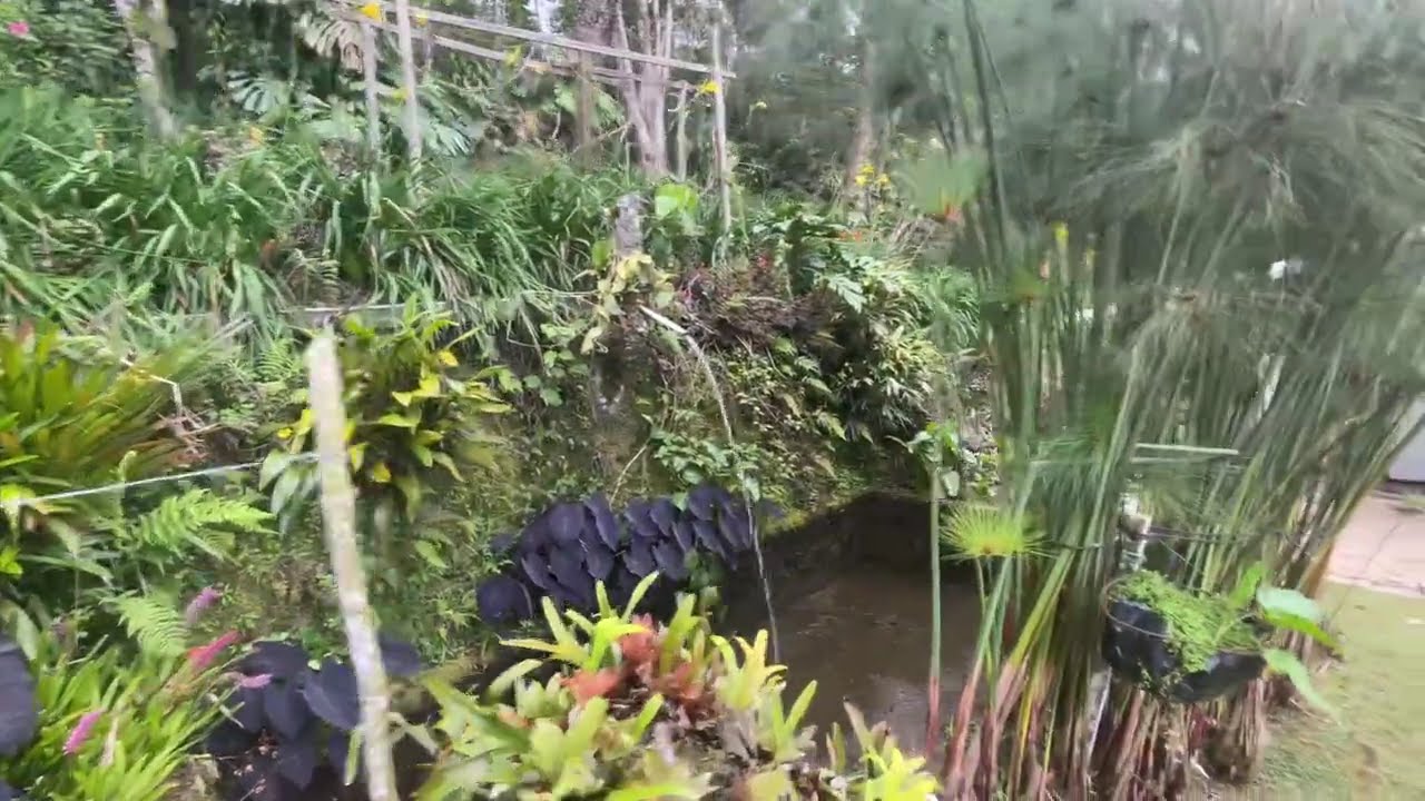 Finca en Dapa / Hacienda Los Morales