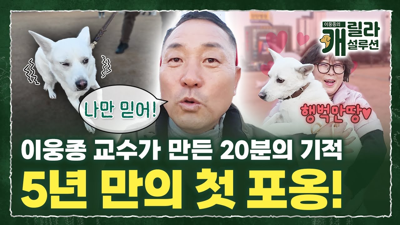 5년 동안 만질 수 없었던 내 강아지... 비로소 너의 온기가 나에게 닿았다