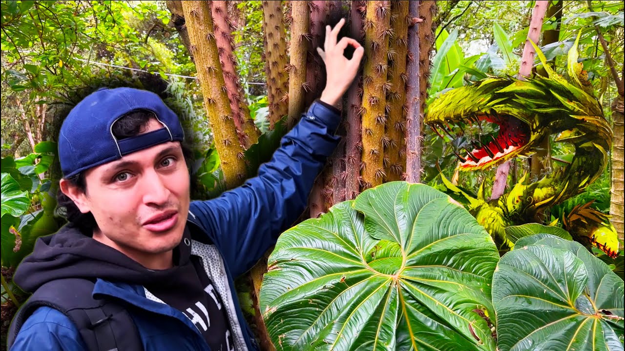 Plantas carnívoras, orquídeas y más... en el Jardín Botánico | Quito Ecuador