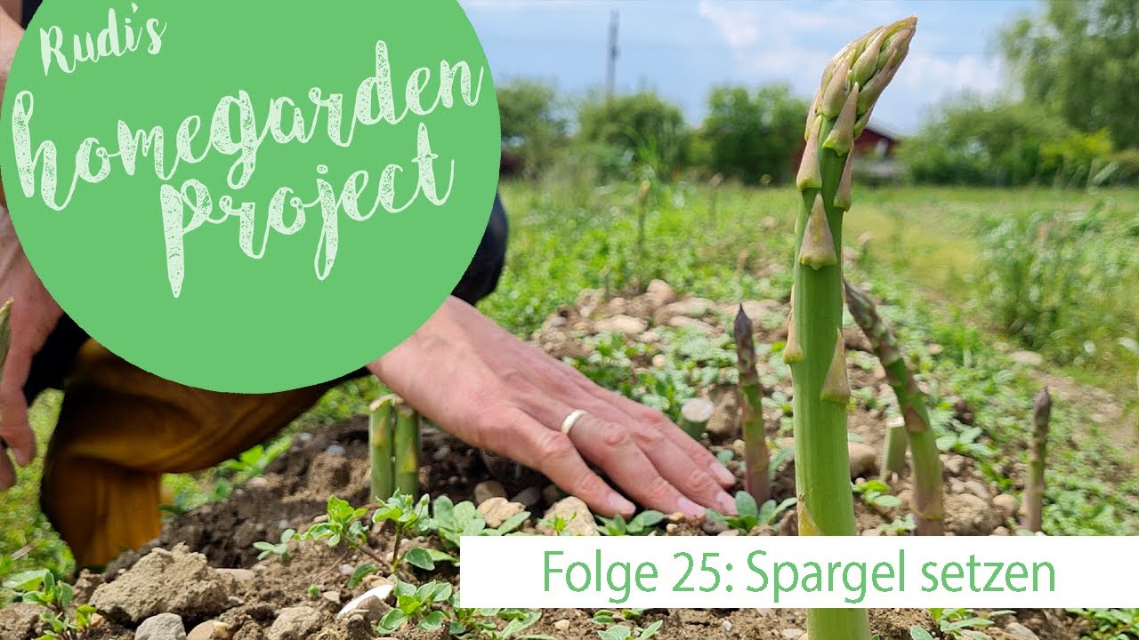 Spargel setzen - Folge 25 - Rudi beim Biobauern