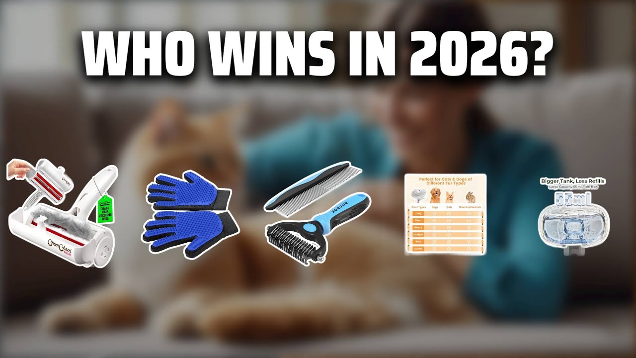 The Top 5 Best Cat Hair Brush in 2026 - Must Watch Before Buying!