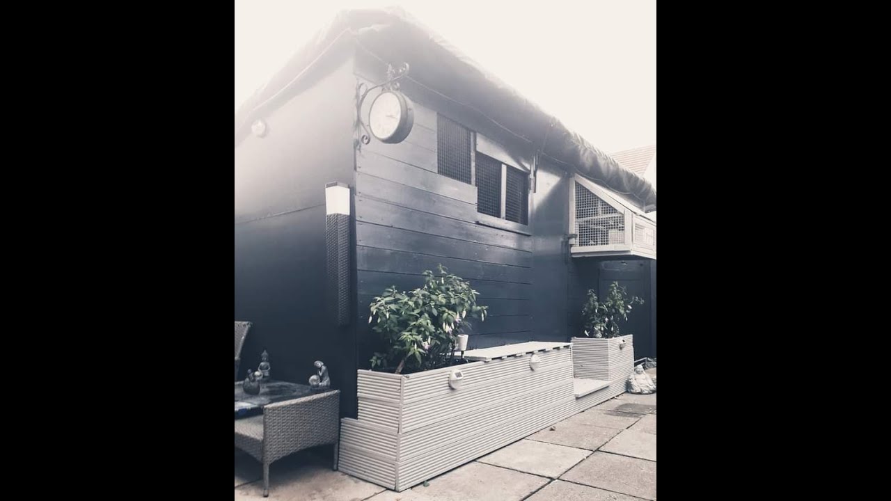pigeon setup loft tour