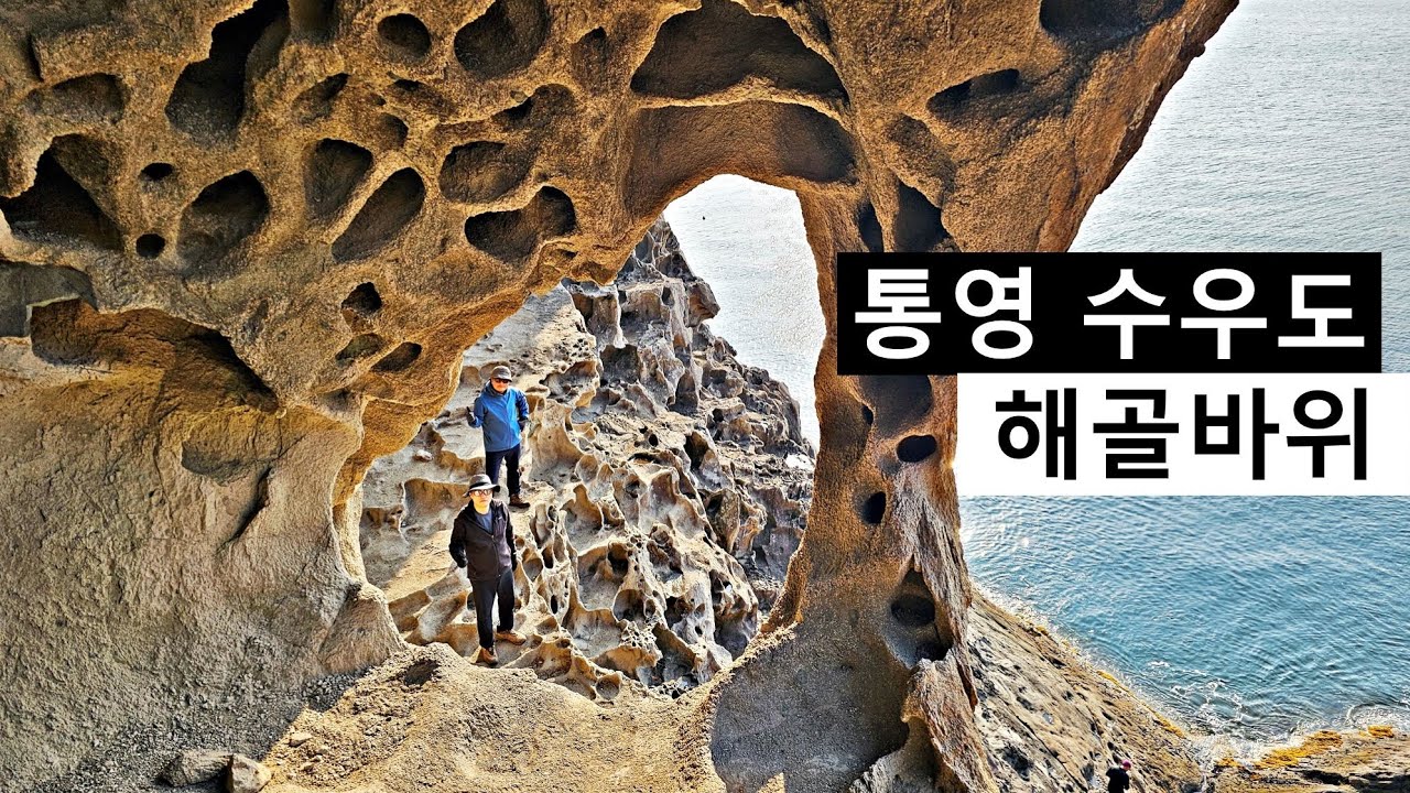 와 미쳤다! 우리나라 아름다운 섬 산행/통영 수우도 등산중에 만난 해골바위와 고래바위/블랙야크 100대 섬&산/동백꽃