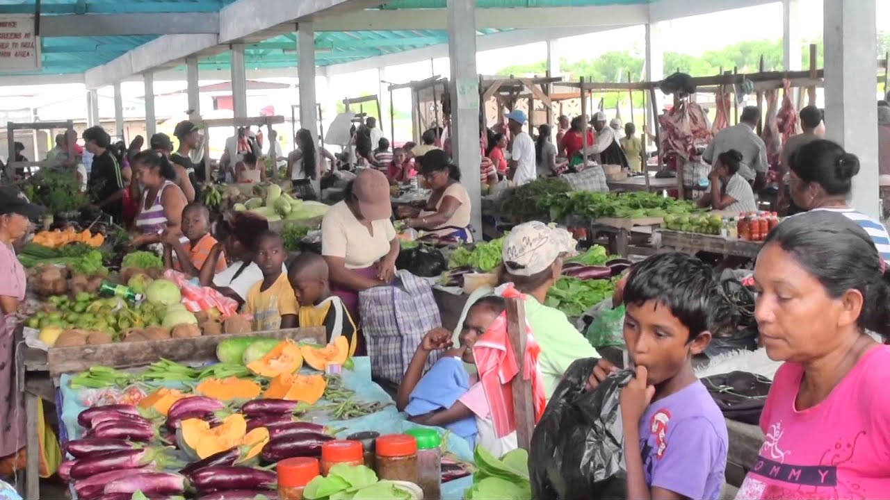 ROSIGNOL  FISH MARKET TODAY-GUYANA FISH MARKET-Bill Rogers-The weed song.