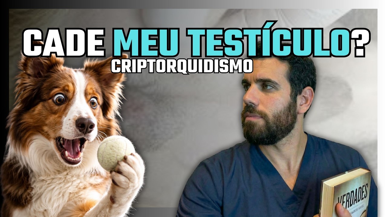 Criptorquidismo em cães: o que todo dono precisa saber