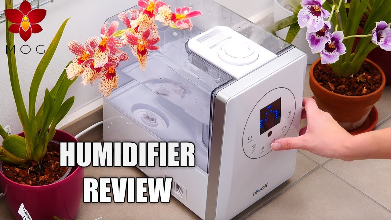 Levoit LV600HH Humidifier Full Review - The good and the (pretty) bad!