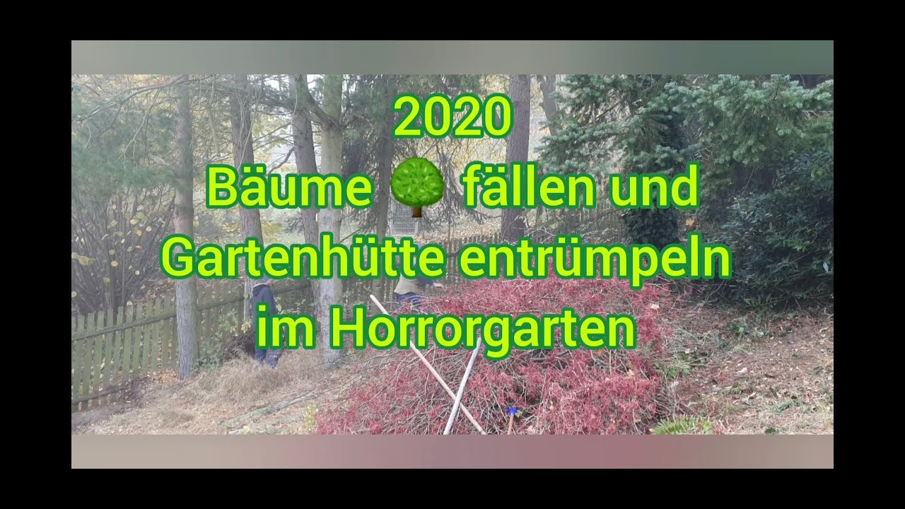 2020: B&auml;ume f&auml;llen + Gartenh&uuml;tte entr&uuml;mpeln im Horrorgarten #baumf&auml;llung #baumpflege #entr&uuml;mpelung