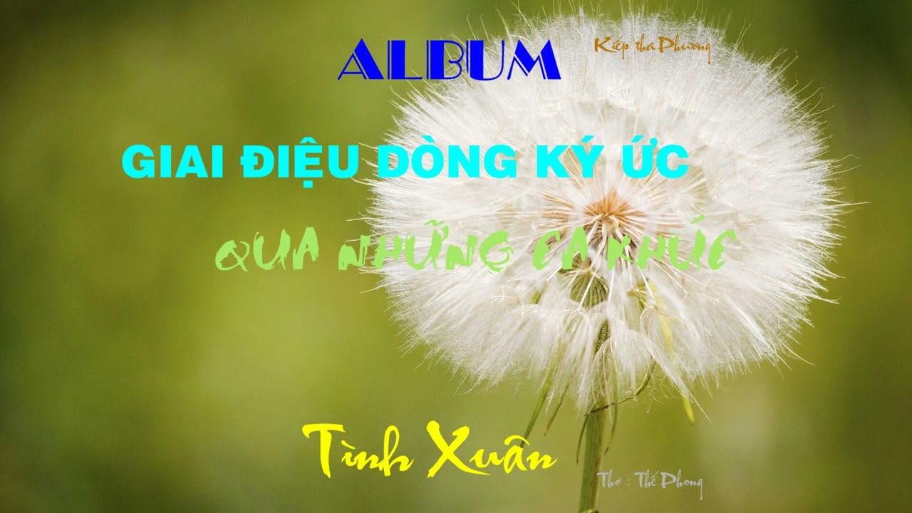 ALBUM GIAI ĐIỆU DÒNG KÝ ỨC QUA NHỮNG CA KHÚC 7 ( TÌNH CŨ NGƯỜI XƯA )