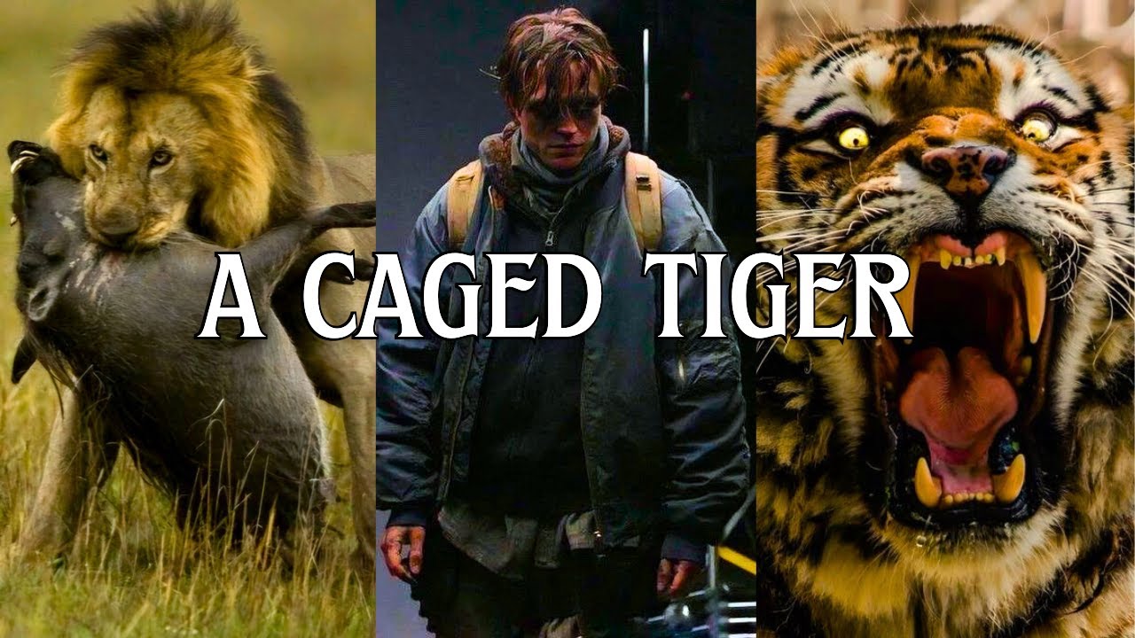 Modern Man is a Caged Tiger