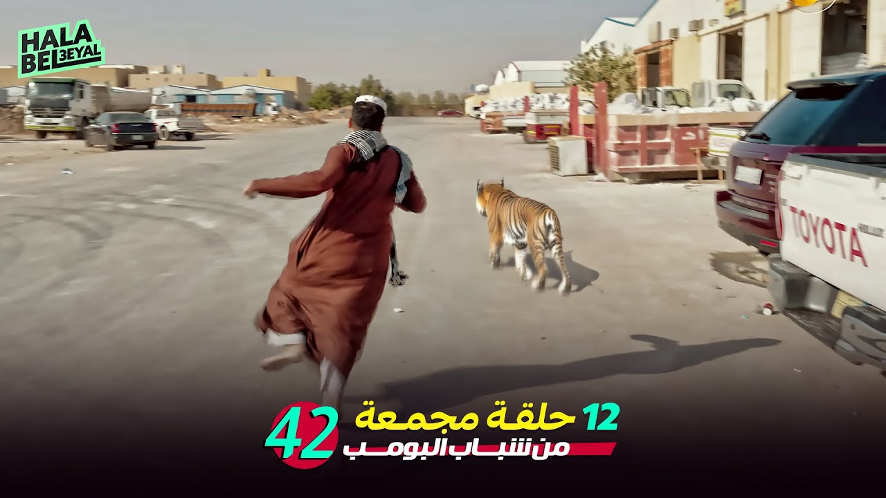 ١٢ حلقة مجمعة من شباب البومب | الحلقة 42 الثانية والأربعون