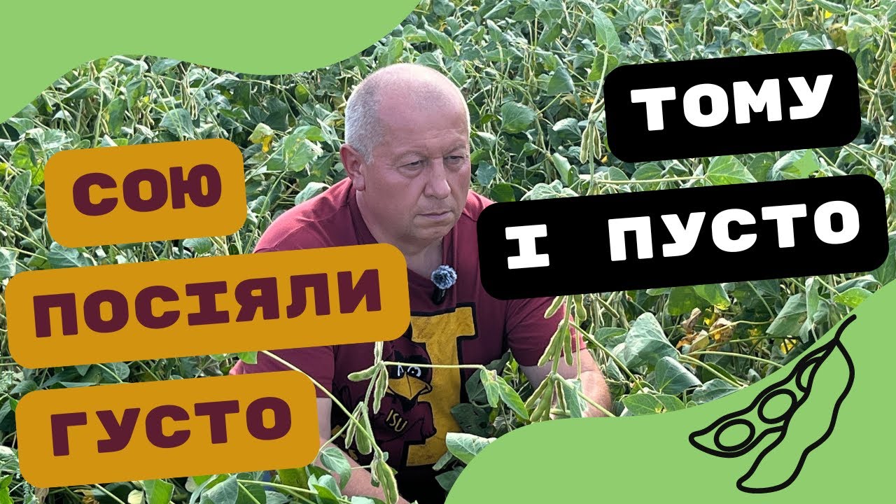 Важливо | Чи вплинула ширина міжряддя та густота на урожайність сої |