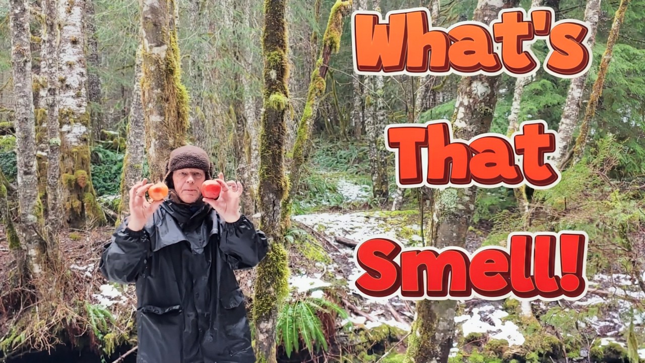 What's That Smell (Not just a Skynyrd song) #pnwrush #bigfoot #sasquatch #treestructures