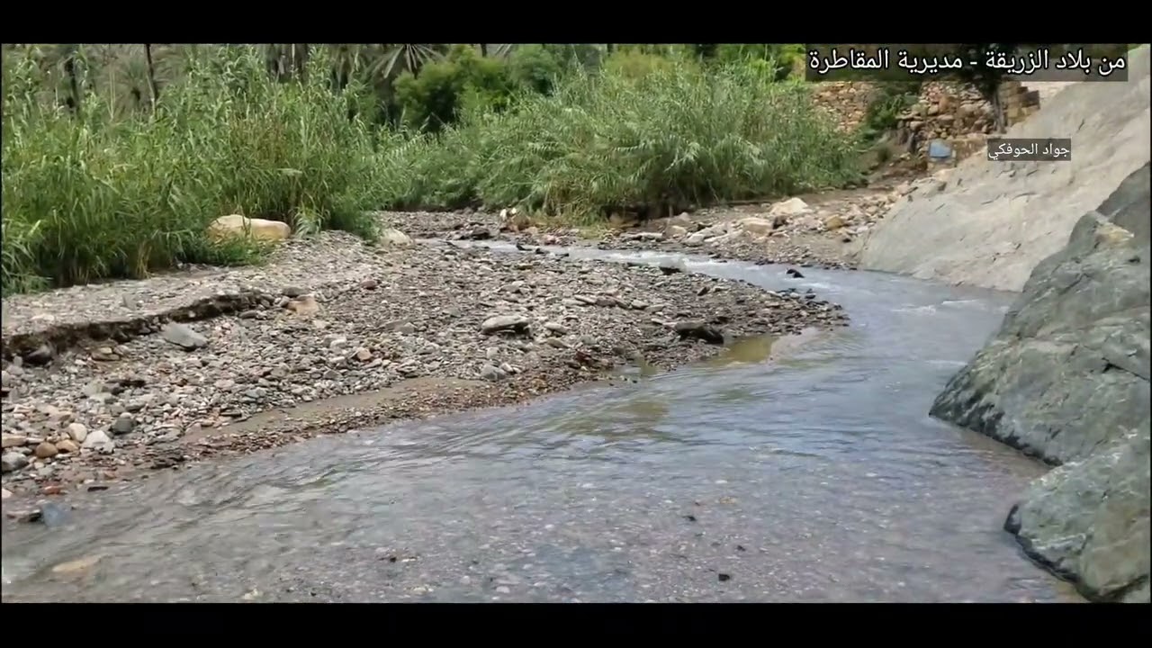 من بلاد الزريقة - مديرية المقاطرة - محافظة لحج
