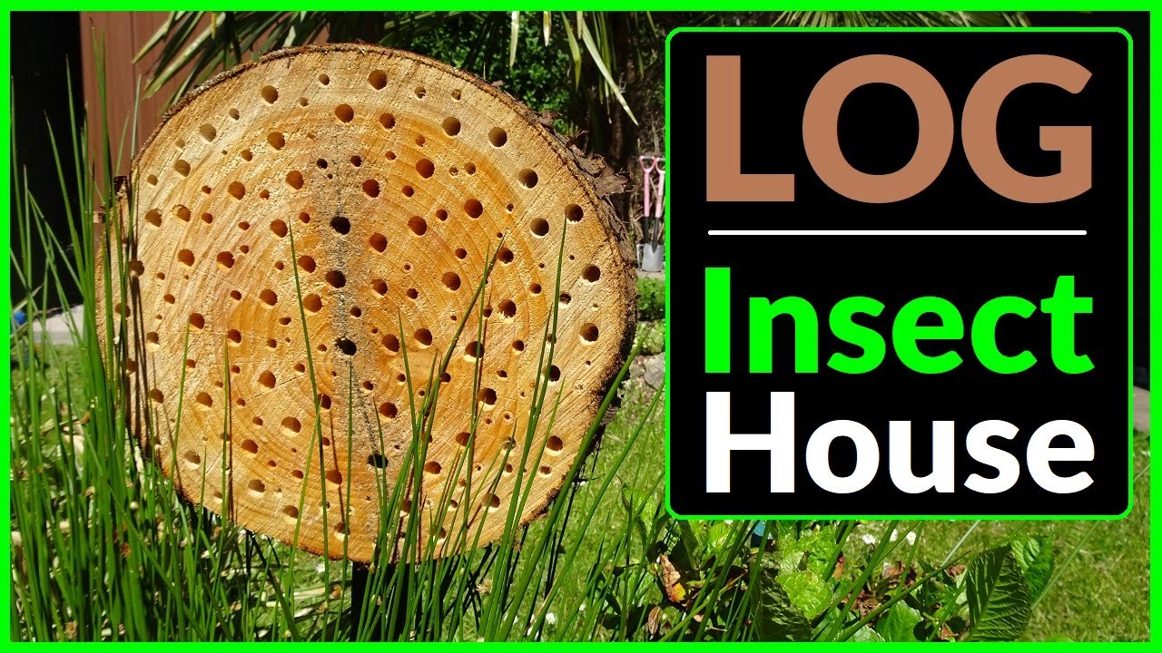 Making an Insect House for the Garden (Out of a LOG)