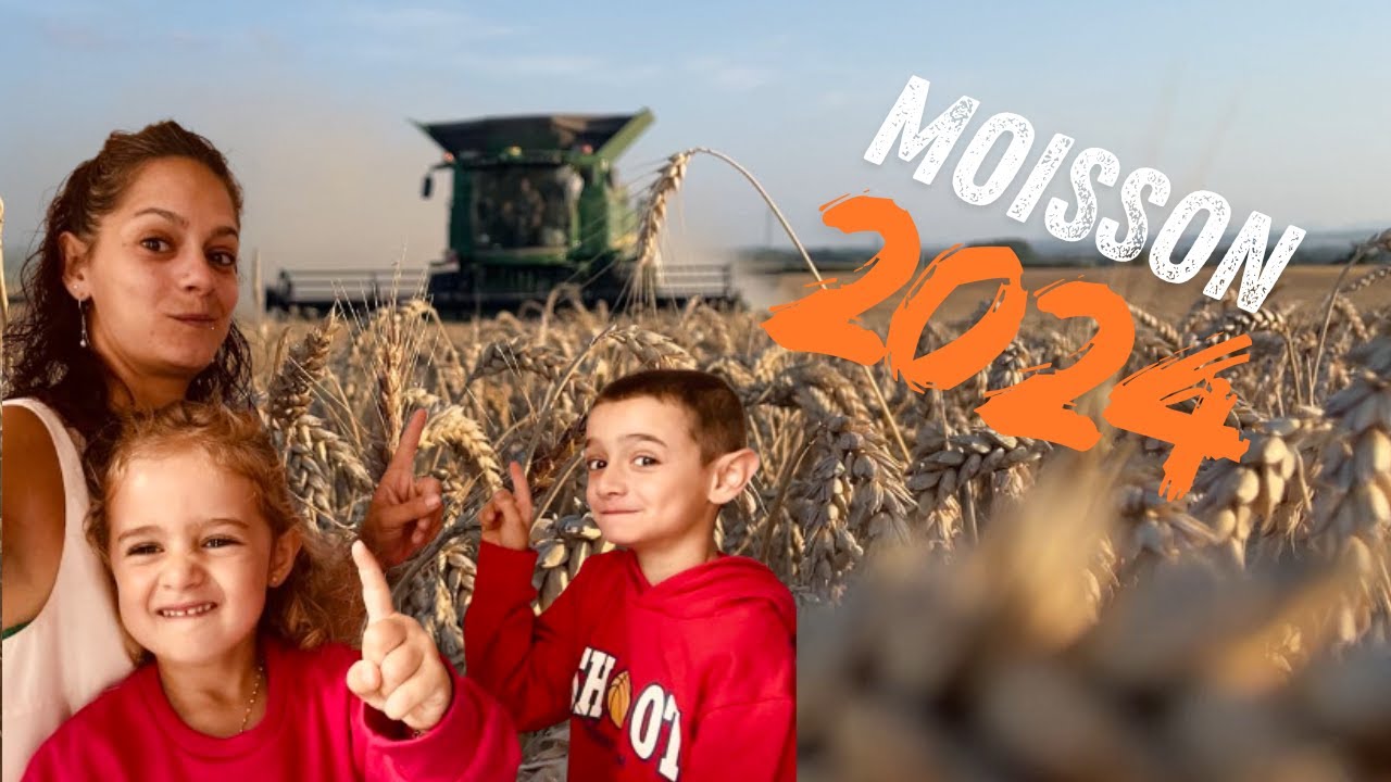 Moisson 2024