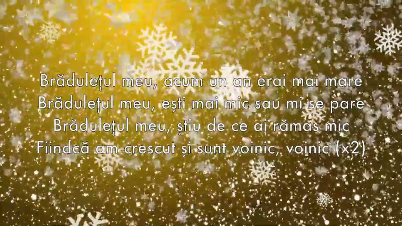 Cântece Pentru Copii - Brădulețul Meu Versuri (Cu Negativ)