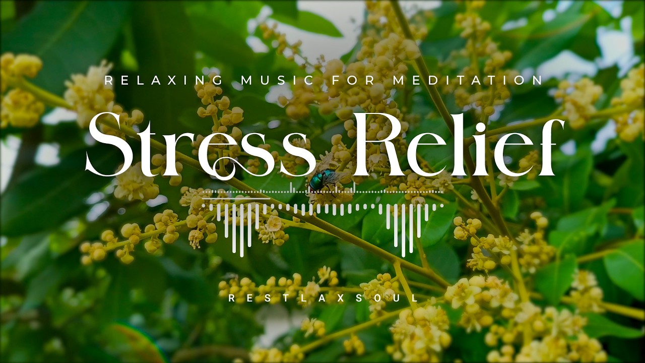 Relaxing Music for Meditation, Stress Relief and Calm Mind