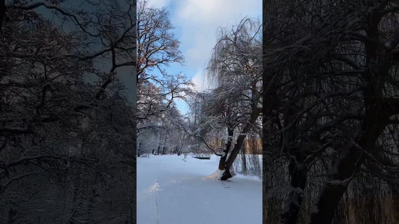 ❄️Winter wonderland in Apolda.