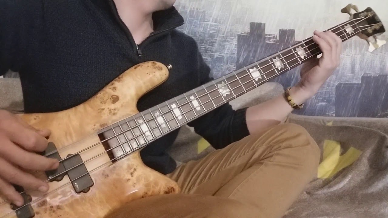 Crossfaith - Xeno(Bass Cover)\m/
