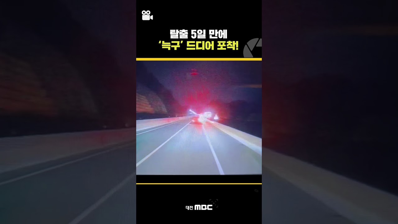 #shorts [제보잇슈] 늑대 '늑구', 탈출 5일 만에 드디어 포착!