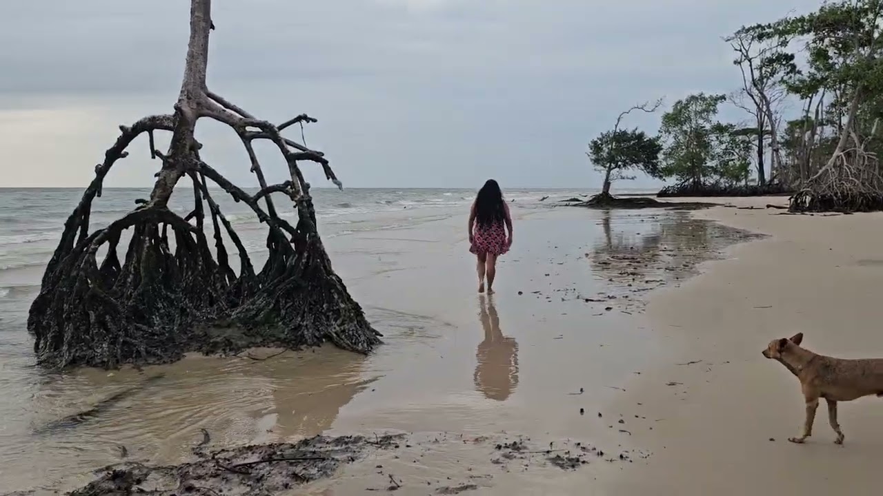 VOLTAMOS  NO OUTRO DIA PARA PRAIA DE BARRA VELHA SOURE-ILHA DO MARAJÓ-PARA. 