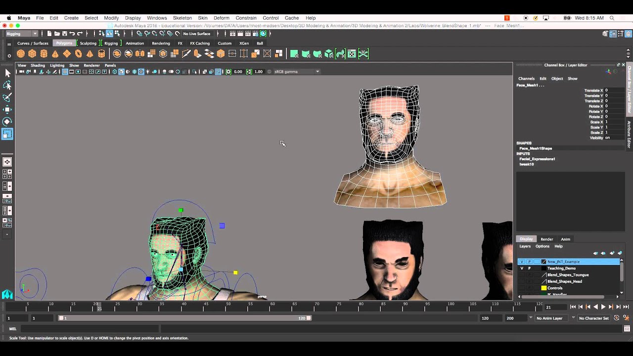 Blendshapes & the Connection Editor