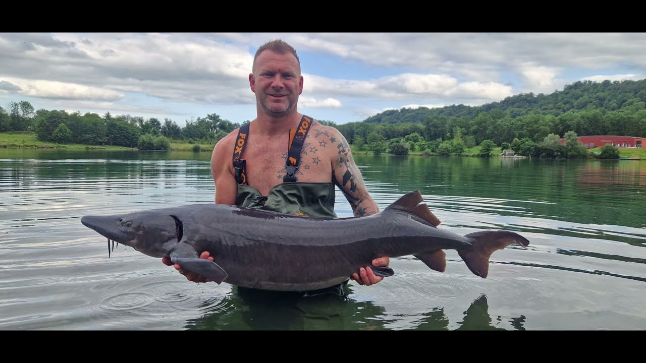 IKTUS - WOOOW over 30 big fishes in one week's session, sturgeon, carp and amazing BELUGA 187lbs 😱